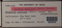 Image Associated With the Occurence